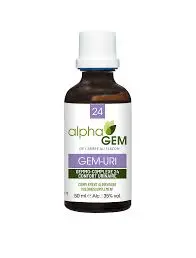 GEM-uri