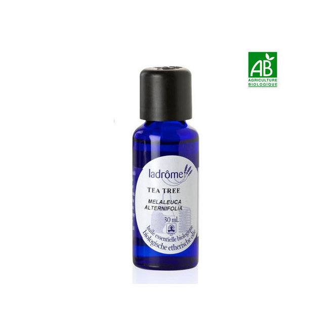 Tea Tree 