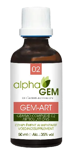 GEM-art