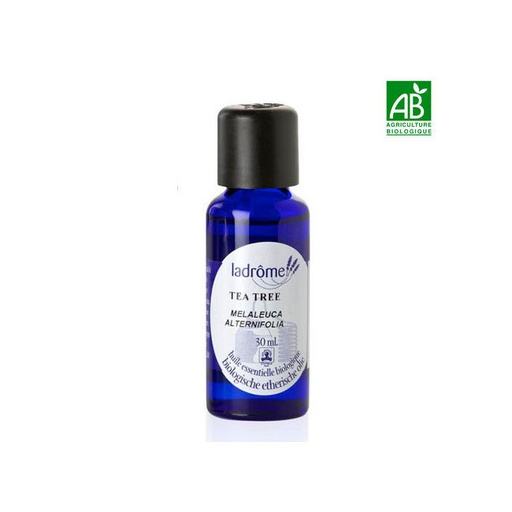 Tea Tree 